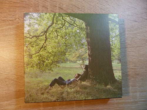 John lennon plastic - john, lennon/plastic
